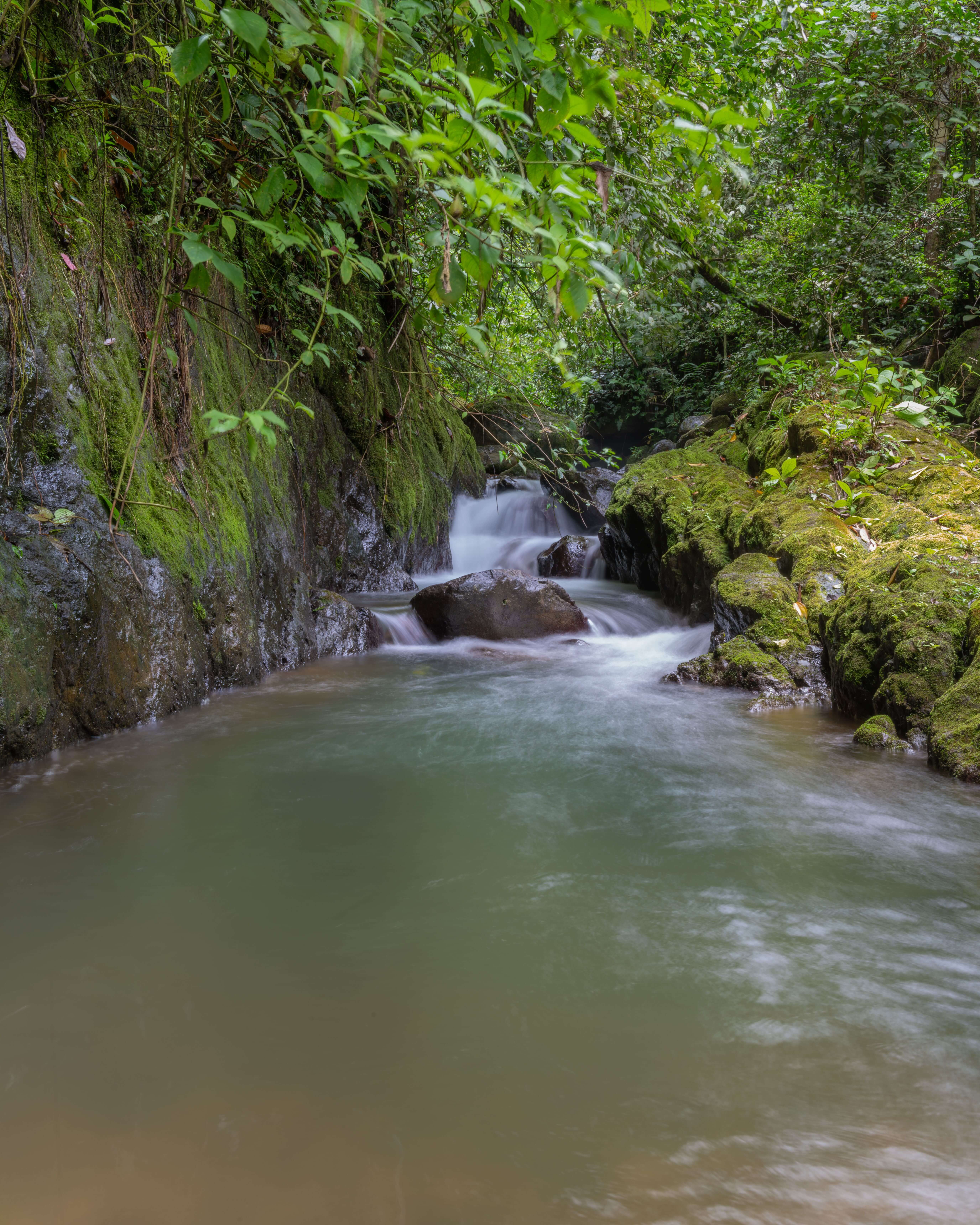 El Chollín hot springs