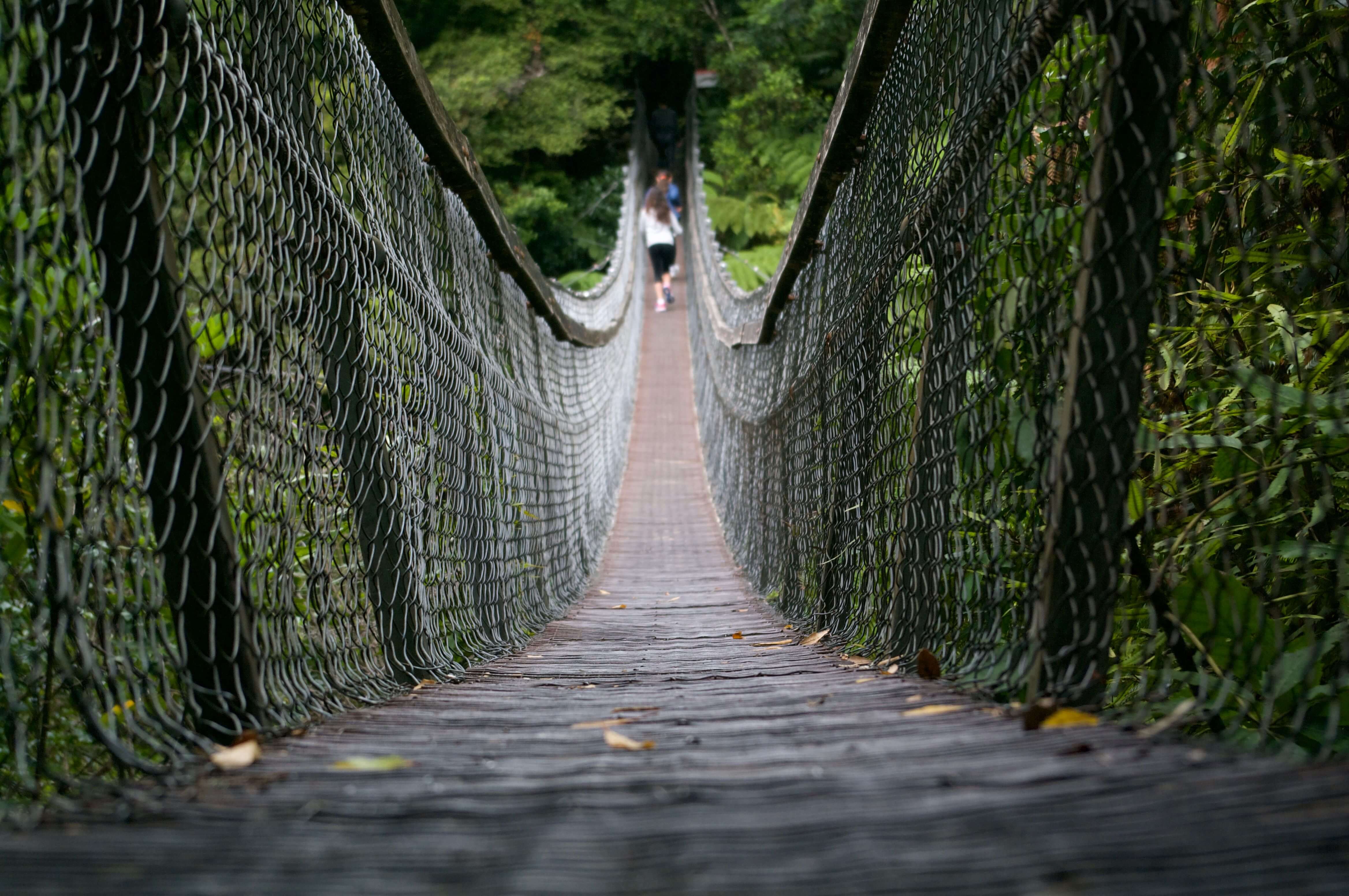 Walking on hanging bridges in Costa Rica rainforest