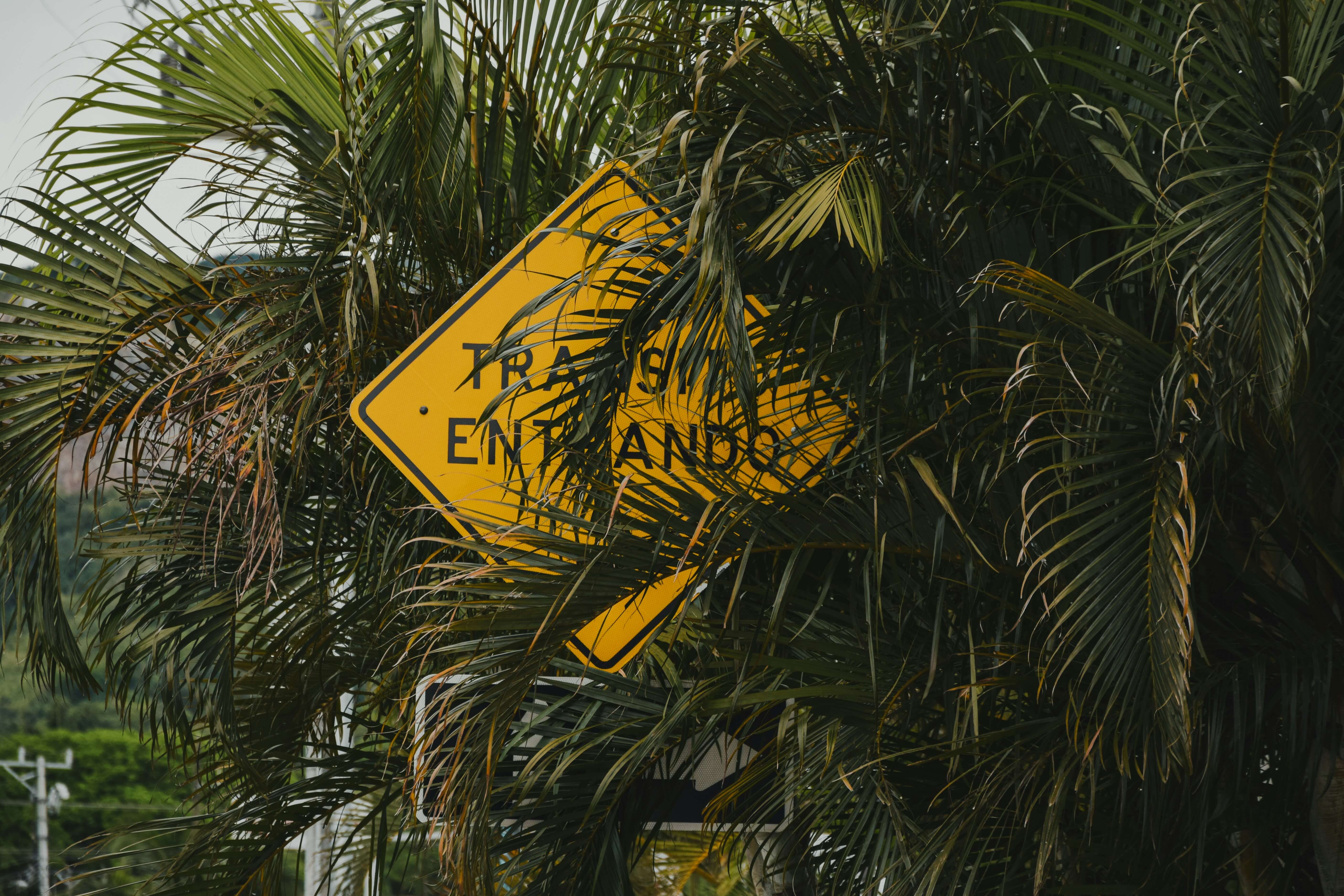 Safe travel in Costa Rica