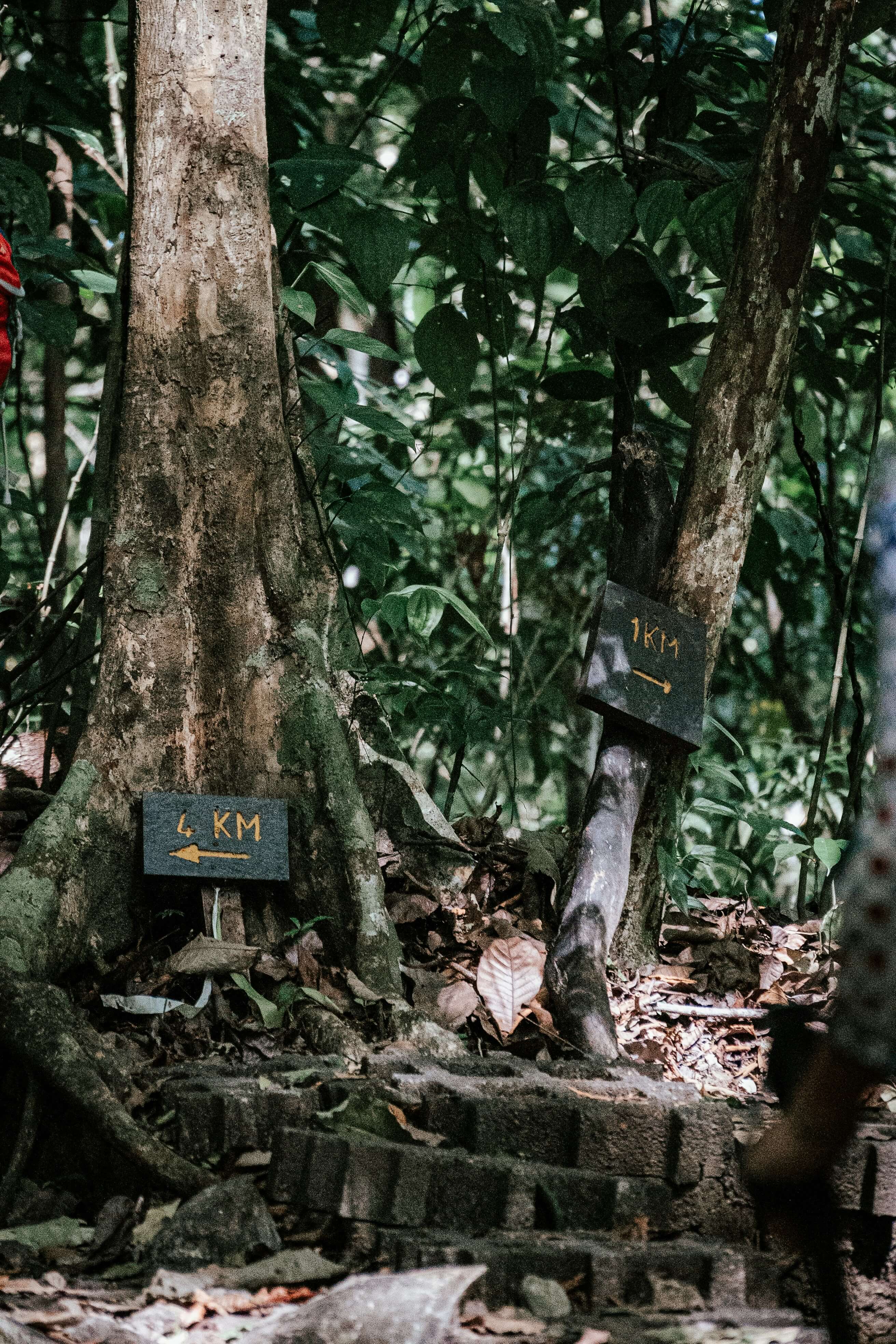 Arenal 1968 private reserve trail