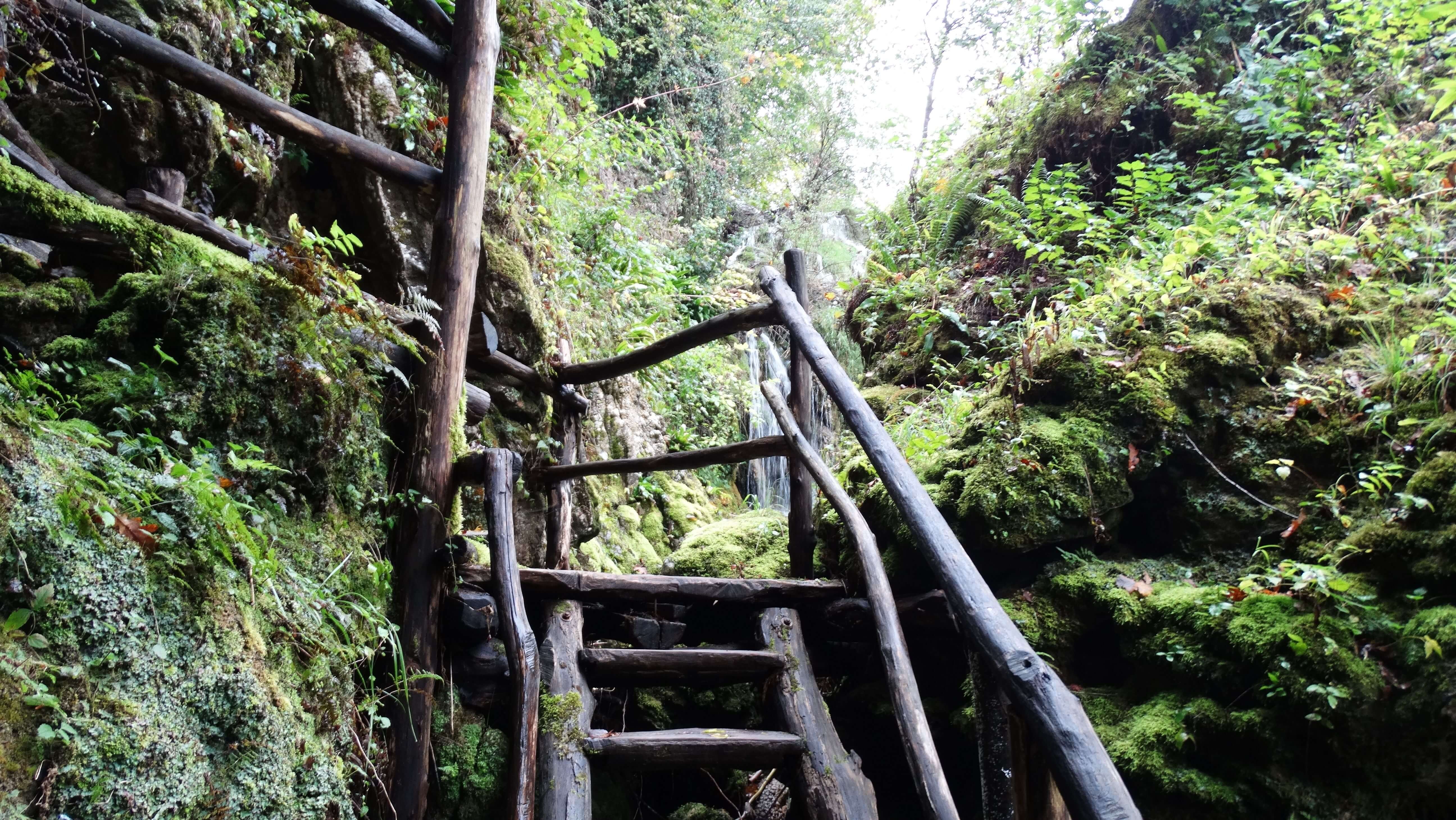 Hiking trail and stairs to the waterfall
